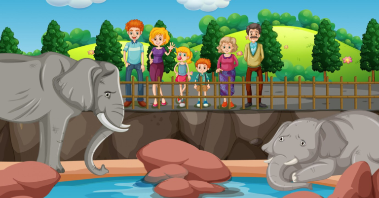 Art of Zoo: Exploring the Beauty of Wildlife